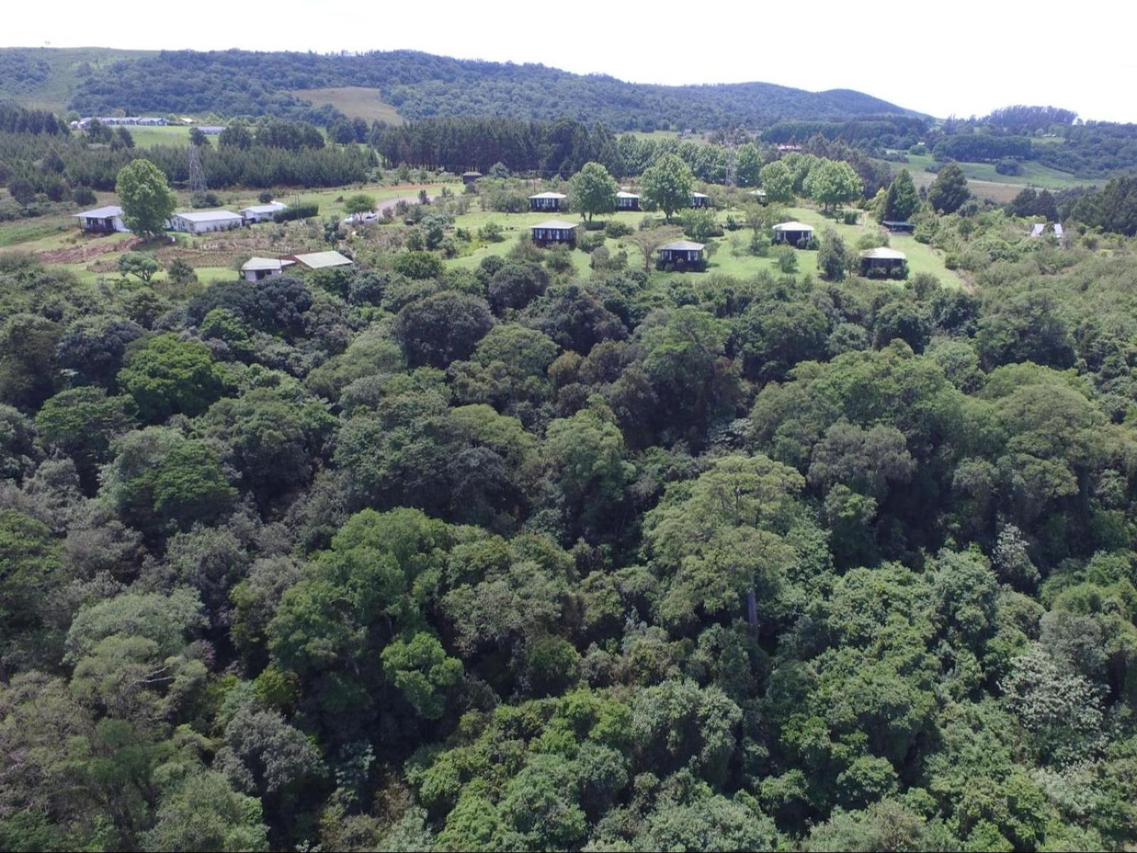 Midlands Forest Lodge Balgowan المظهر الخارجي الصورة